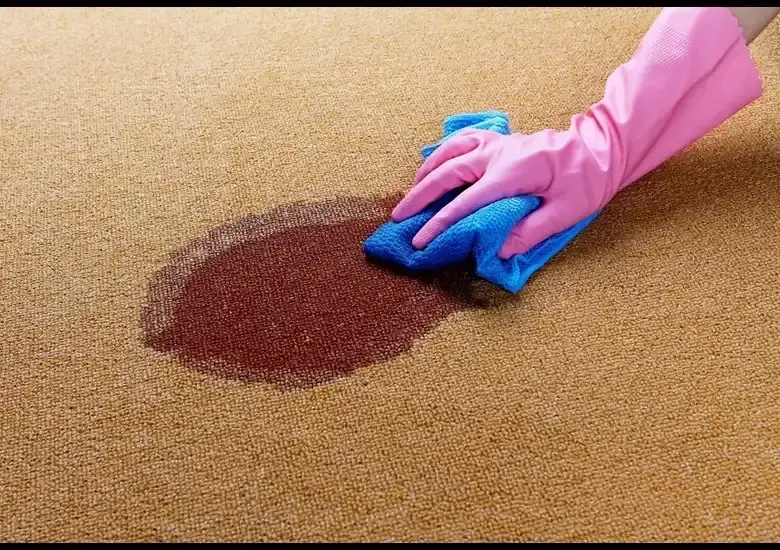 Cómo remover manchas de una alfombra con Vanish® 