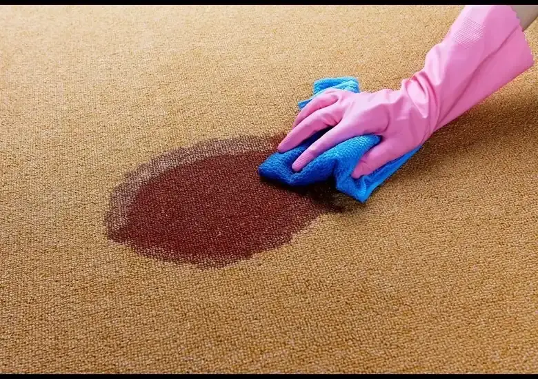 Mano con guante rosa y trapo azul limpiando mancha en alfombra café